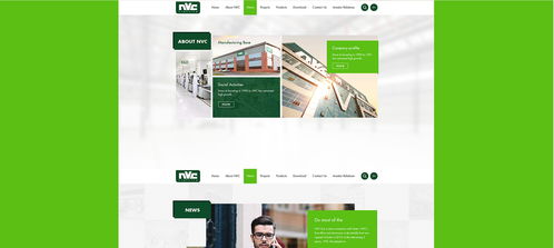 雷士光電官方網(wǎng)站建設項目 構建專業(yè)數(shù)字門戶，照亮品牌未來